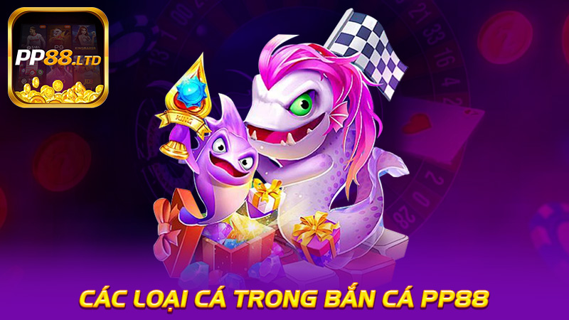 Các Loại Cá Trong Bắn Cá PP88