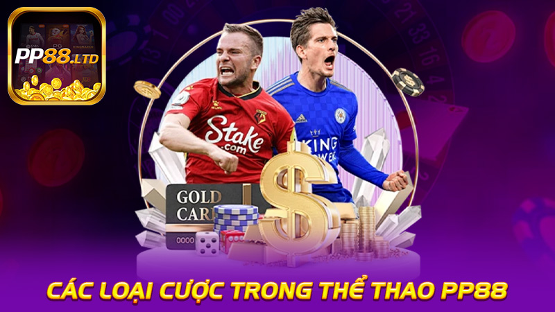 Các Loại Cược Trong Thể Thao PP88