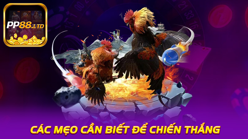  Các Mẹo Cần Biết Để Chiến Thắng
