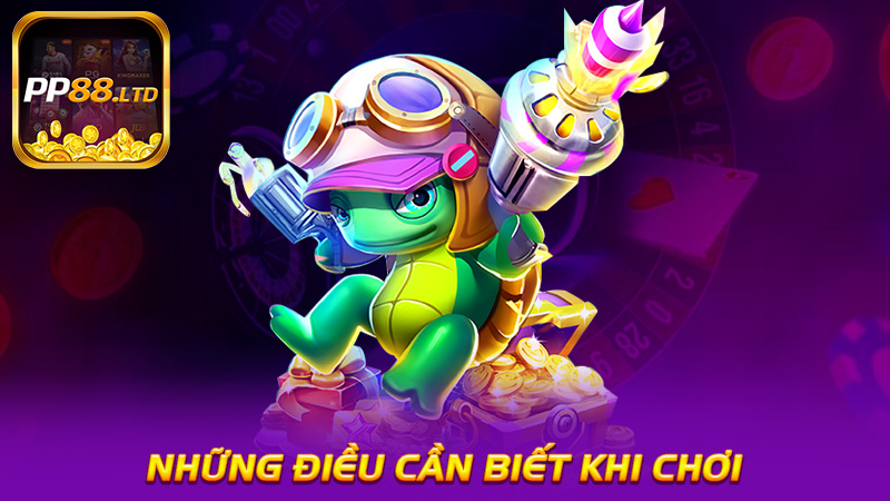 Những Điều Cần Biết Khi Chơi Bắn Cá PP88