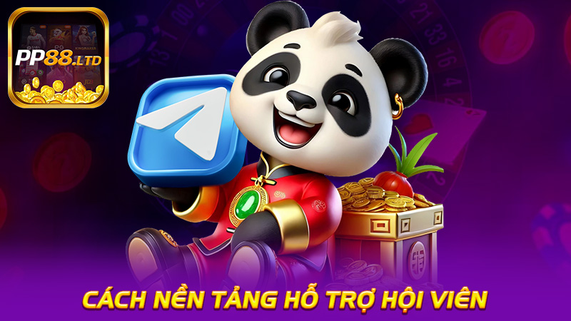 cách nền tảng hỗ trợ hội viên