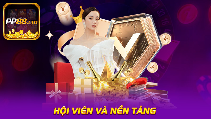 Hội viên và nền tảng có quyền và nghĩa vụ gì?
